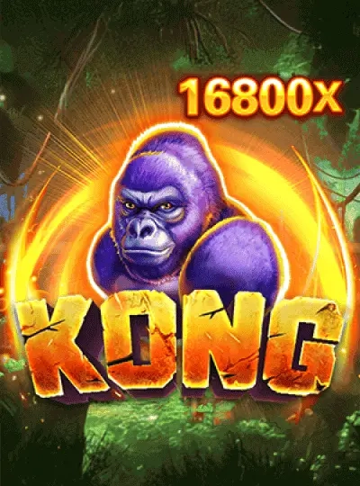 bd5566